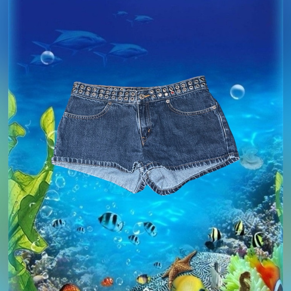 Y2K/2000s Levi Low-Rise Denim Shorts